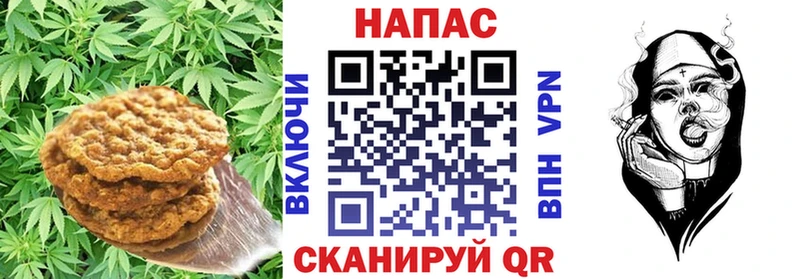 маркетплейс наркотические препараты  Чегем  блэк спрут рабочий сайт  Печенье с ТГК марихуана  сколько стоит 